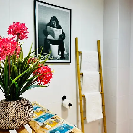 Apartmán Infantes 8 - Centro Ciudad